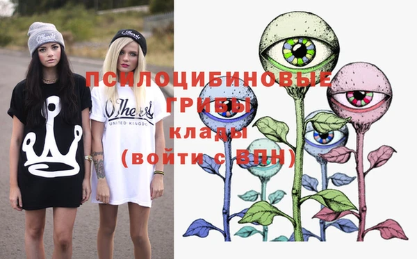 таблы Гусиноозёрск