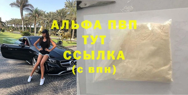 хмурый Гусев