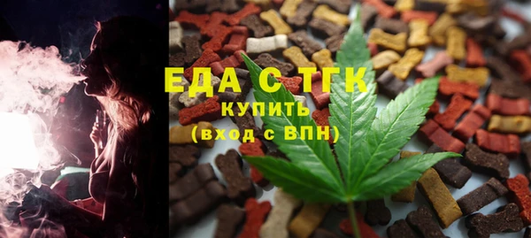 хмурый Гусев