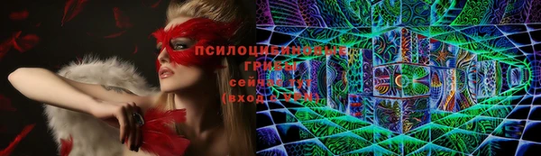 не бодяженный Гусь-Хрустальный