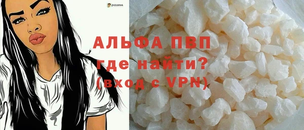 хмурый Гусев