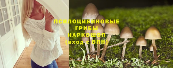 не бодяженный Гусь-Хрустальный