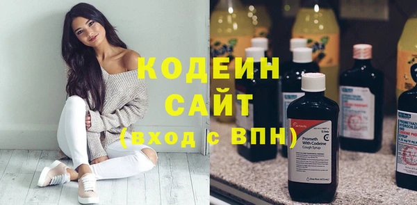 хмурый Гусев
