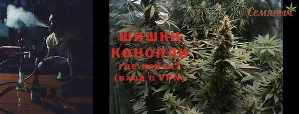 хмурый Гусев